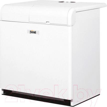 Изображение товара Газовый котел Ferroli Pegasus 107 2S