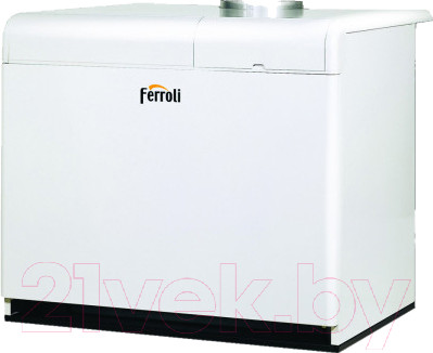 Изображение товара Газовый котел Ferroli Pegasus F3 N 136 2S