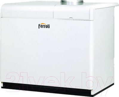 Изображение товара Газовый котел Ferroli Pegasus F3 N 187 2S