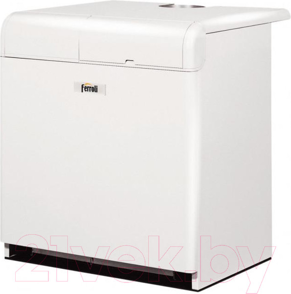 Изображение товара Газовый котел Ferroli Pegasus F3 N 255 2S