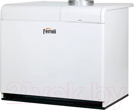 Изображение товара Газовый котел Ferroli Pegasus F3 N 289 2S