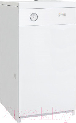 Изображение товара Газовый котел Ferroli Torino 12.5