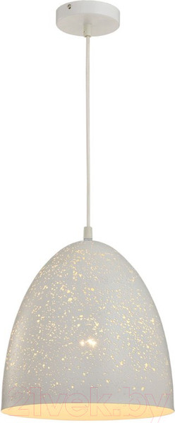 Изображение товара Потолочный светильник Lussole Loft GRLSP-9891