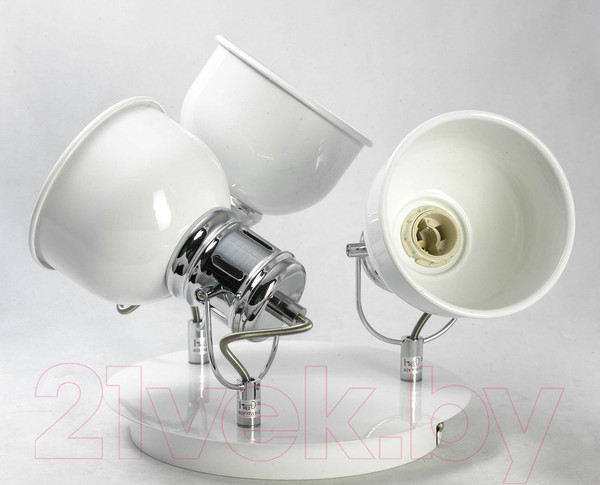 Изображение товара Спот Lussole LGO Carrizo GRLSP-9956