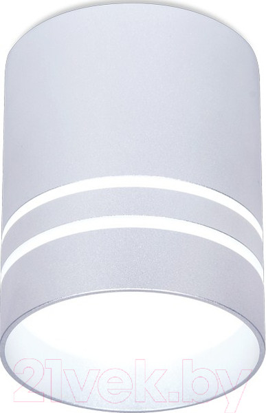 Изображение товара Точечный светильник Ambrella TN241 SL/S