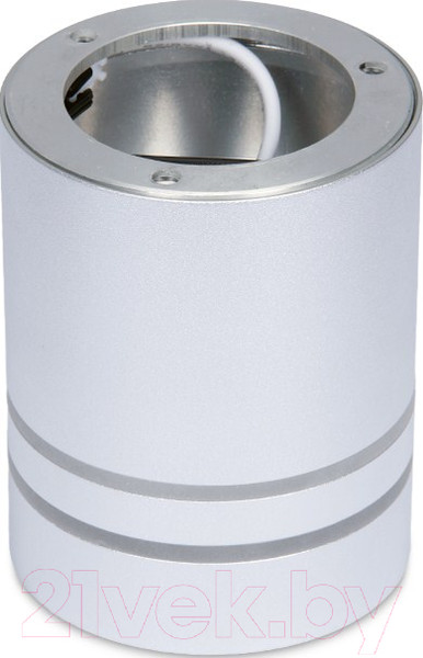 Изображение товара Точечный светильник Ambrella TN241 SL/S