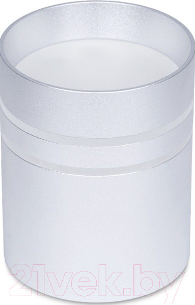 Изображение товара Точечный светильник Ambrella TN241 SL/S