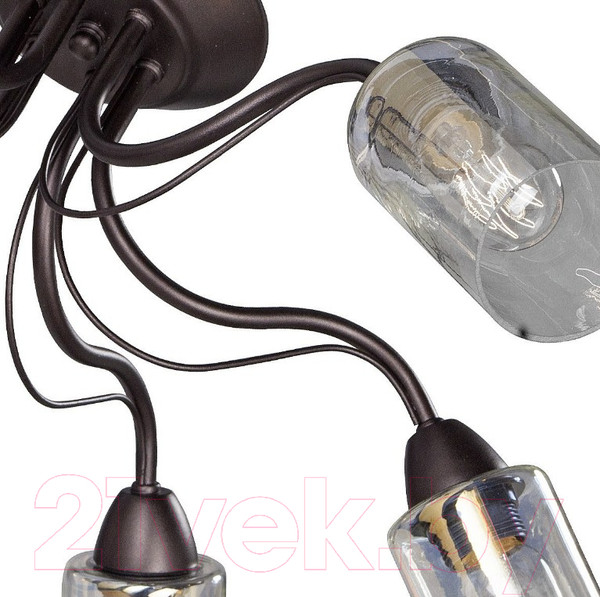 Изображение товара Люстра Vitaluce V3744-8/6PL