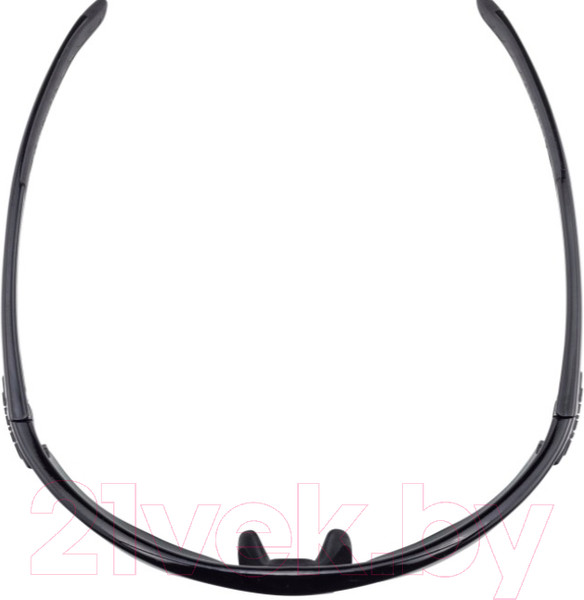 Изображение товара Очки солнцезащитные Alpina Sports Tri-Scray 2.0 HR / A86423-30 (черный)