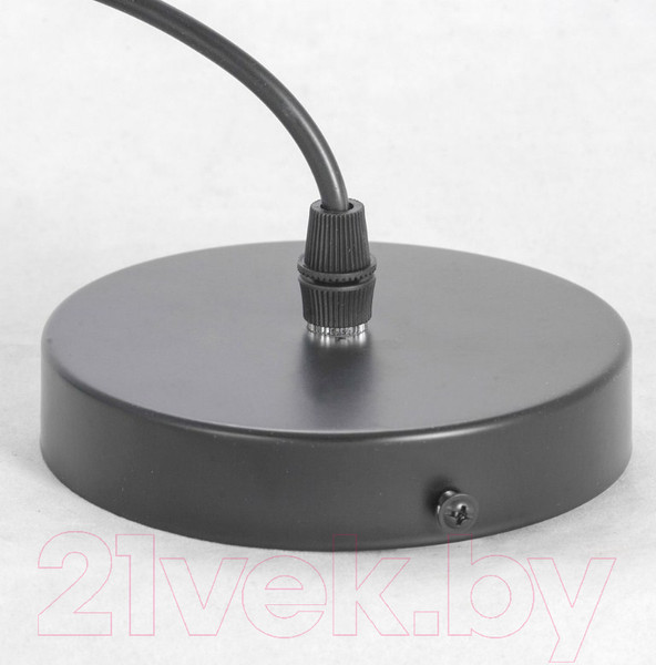 Изображение товара Потолочный светильник Lussole LSP-8213