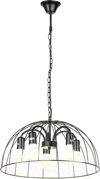 Изображение товара Люстра Lussole LSP-8216