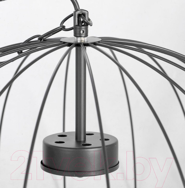 Изображение товара Люстра Lussole LSP-8216