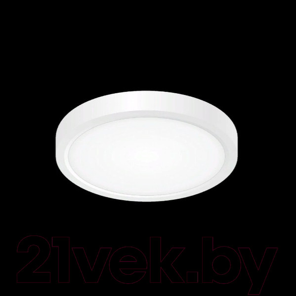 Изображение товара Потолочный светильник Citilux Бейсик CL738120N