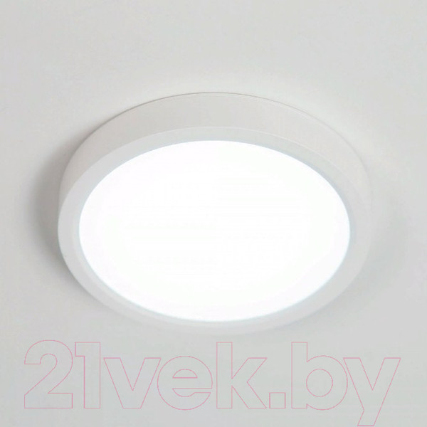 Изображение товара Потолочный светильник Citilux Бейсик CL738120N