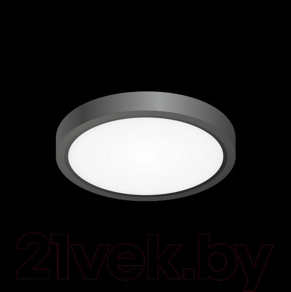 Изображение товара Потолочный светильник Citilux Бейсик CL738121N