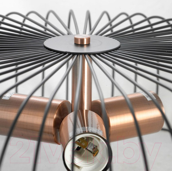 Изображение товара Люстра Lussole LSP-8250