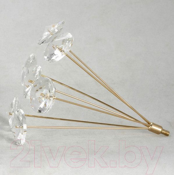 Изображение товара Люстра Lussole LSP-8338