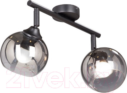 Изображение товара Потолочный светильник Vitaluce V4313-1/2PL