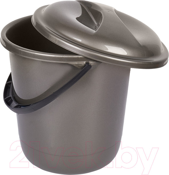 Изображение товара Ведро Spin&Clean Классика SV4077