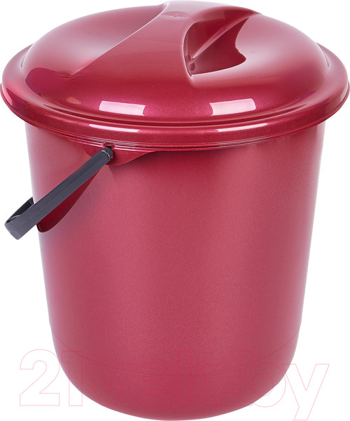 Изображение товара Ведро Spin&Clean Классика SV4077