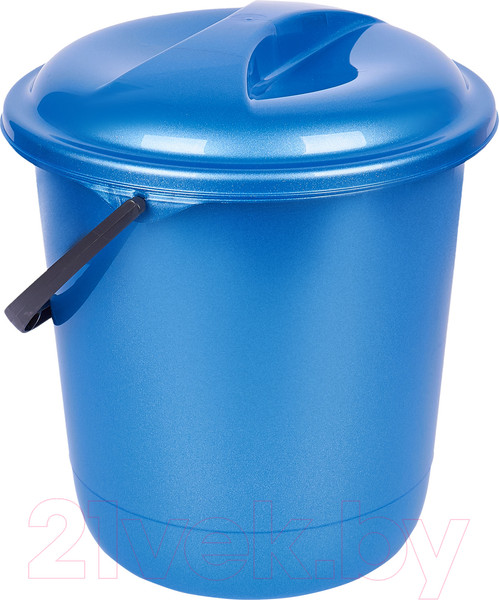 Изображение товара Ведро Spin&Clean Классика SV4077