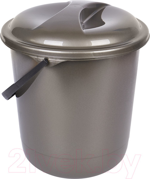 Изображение товара Ведро Spin&Clean Классика SV4077