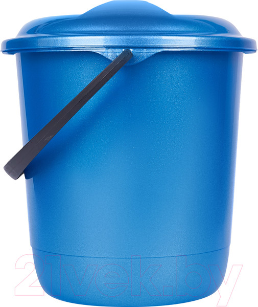 Изображение товара Ведро Spin&Clean Классика SV4077