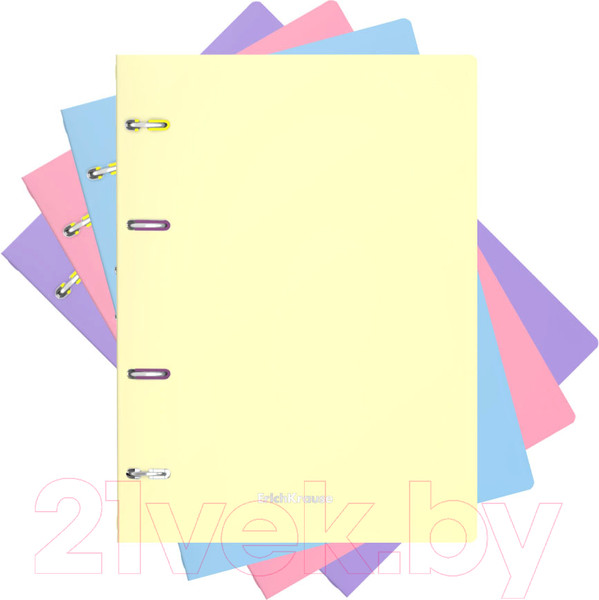 Изображение товара Тетрадь Erich Krause Pastel / 50164 (80л)