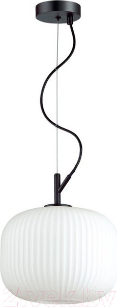 Изображение товара Потолочный светильник Odeon Light Roofi 4753/1