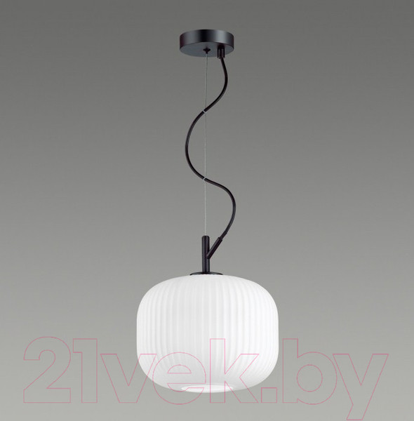 Изображение товара Потолочный светильник Odeon Light Roofi 4753/1