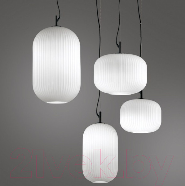 Изображение товара Потолочный светильник Odeon Light Roofi 4753/1
