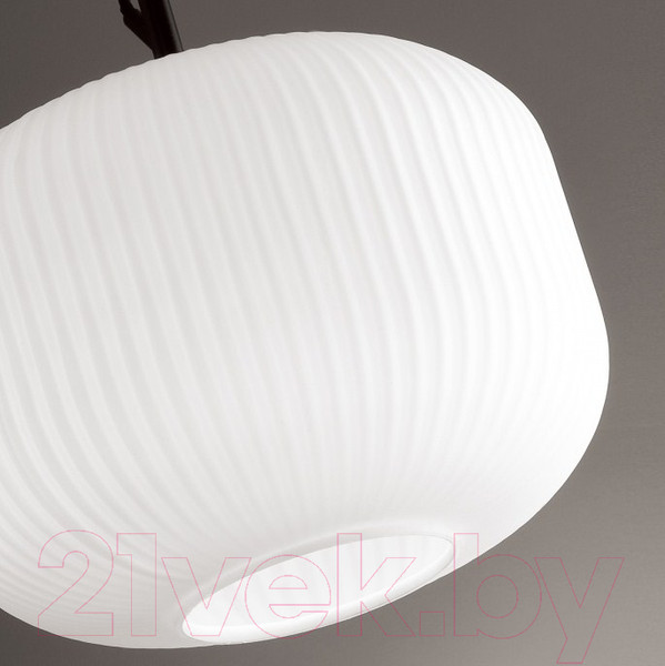 Изображение товара Потолочный светильник Odeon Light Roofi 4753/1