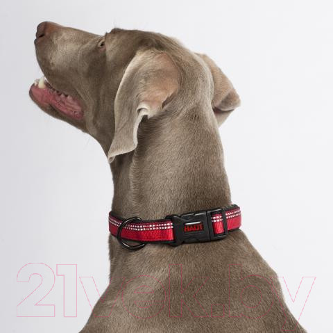 Изображение товара Ошейник Halti Collar / HC004 (XS, красный)