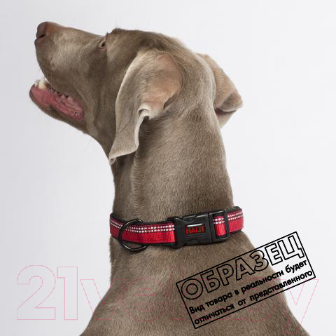 Изображение товара Ошейник Halti Collar / HC015 (S, фиолетовый)