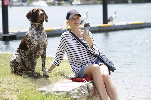 Изображение товара Ошейник DOOG Gromit / COLNRC-XS (розовый/синий)