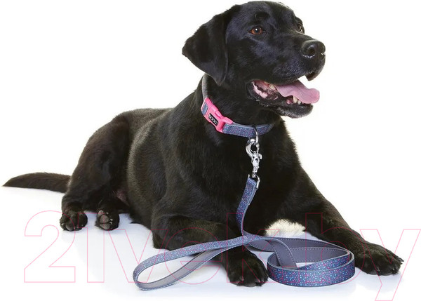 Изображение товара Ошейник DOOG Marley / COLN2-S (синий в крапинку)