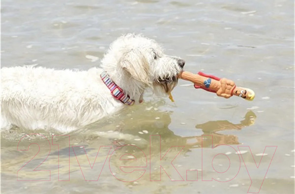 Изображение товара Ошейник DOOG Scooby / COLMCS-M (красный)