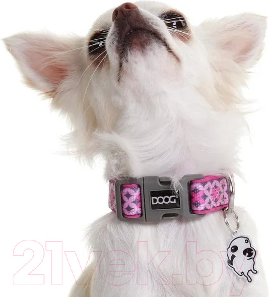 Изображение товара Ошейник DOOG Toto / COLPBS-L (розовый с узором)
