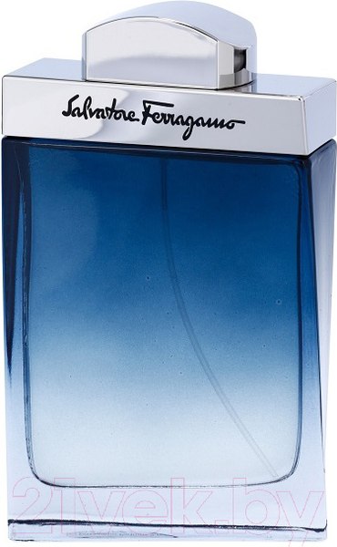 Изображение товара Туалетная вода Salvatore Ferragamo Subtil (50мл)