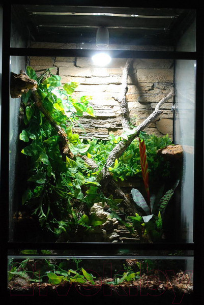 Изображение товара Лампа для террариума Lucky Reptile LED Sun Spot / LSS6