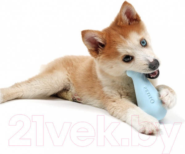 Изображение товара Игрушка для собак Petit Treat Toy Chico / 309/449394 (голубой)