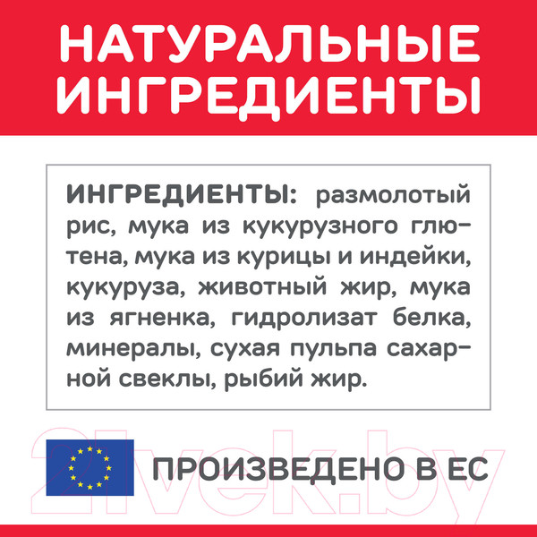 Изображение товара Сухой корм для кошек Hill's Science Plan Adult Optimal Care Lamb / 604065 (300г)