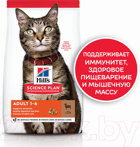 Изображение товара Сухой корм для кошек Hill's Science Plan Adult Optimal Care Lamb / 604065 (300г)