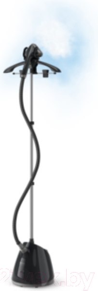 Изображение товара Отпариватель Tefal IT2461E0