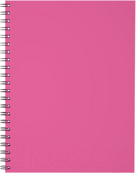 Изображение товара Тетрадь Erich Krause Neon / 45178 (120л, клетка)