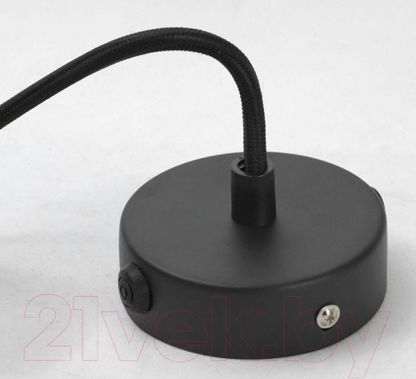 Изображение товара Потолочный светильник Lussole Loft LSP-9888-TAB
