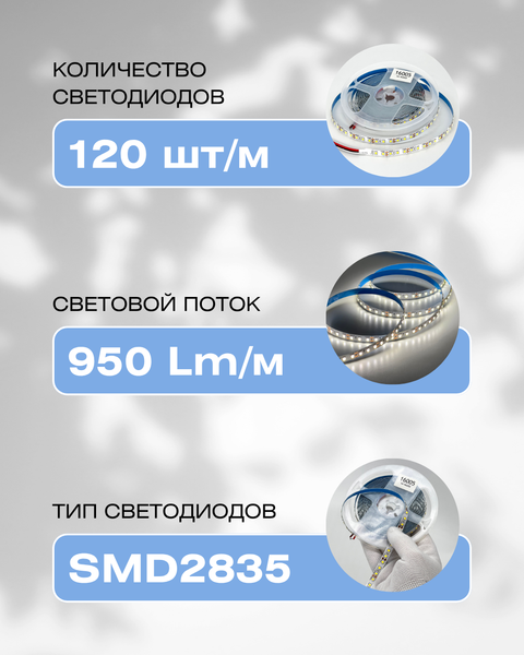 Изображение товара Светодиодная лента Truenergy 12V-120D 9.6W/m 4000K IP20 / 16005 (5м)