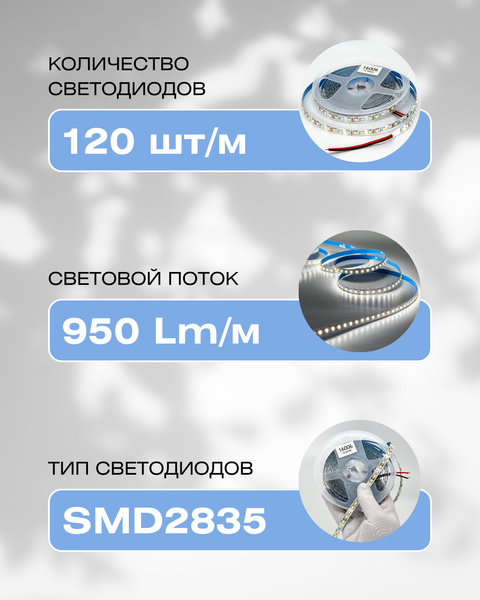 Изображение товара Светодиодная лента Truenergy 12V-120D 9.6W/m 6000K IP20 / 16006 (5м)