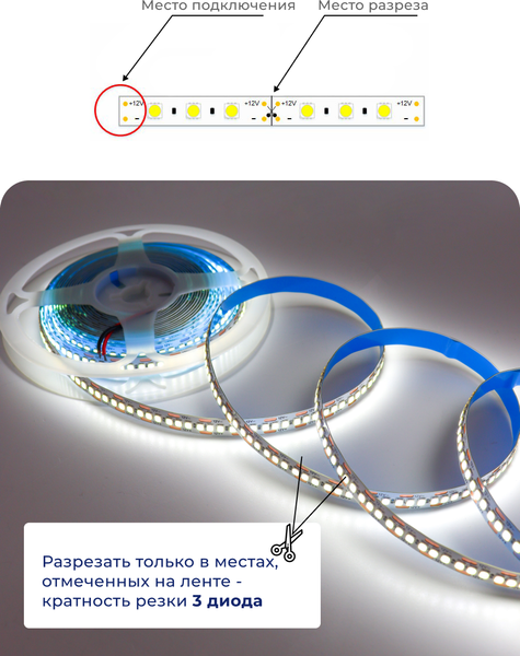 Изображение товара Светодиодная лента Truenergy 12V-240D 19.2W/m 6000K IP20 / 16008 (5м)