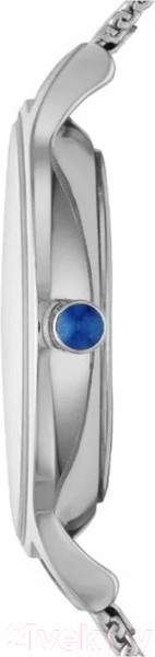 Изображение товара Часы наручные женские Skagen SKW2307